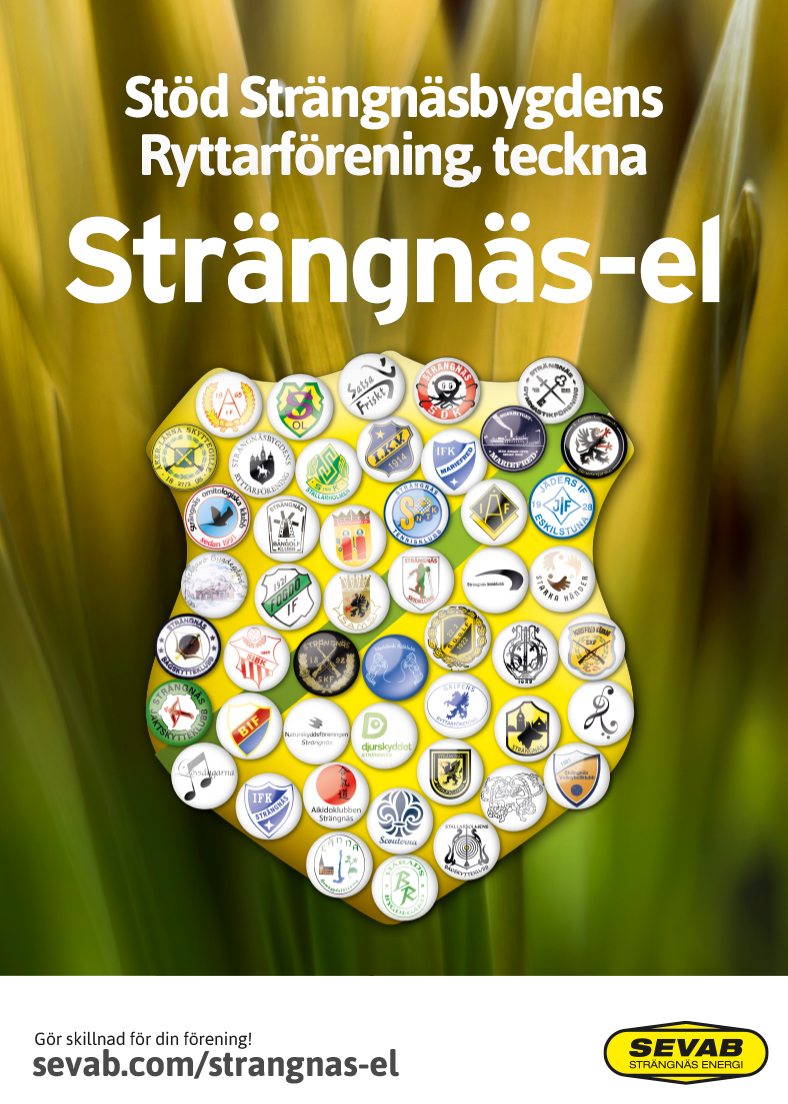 En bild
